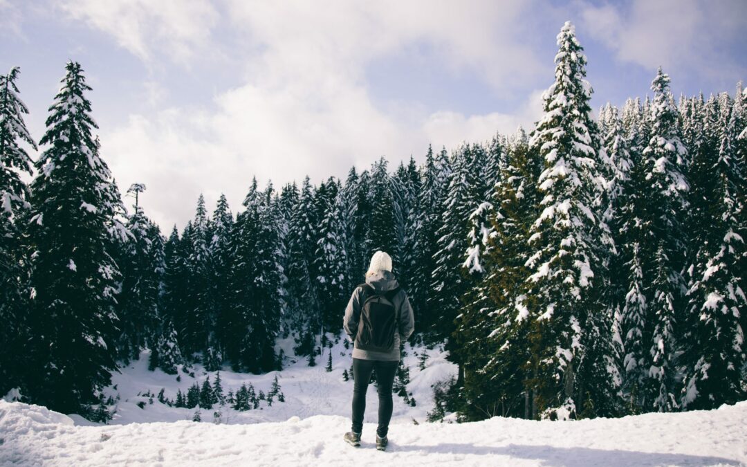 Winter Hiking in Eastern Ontario