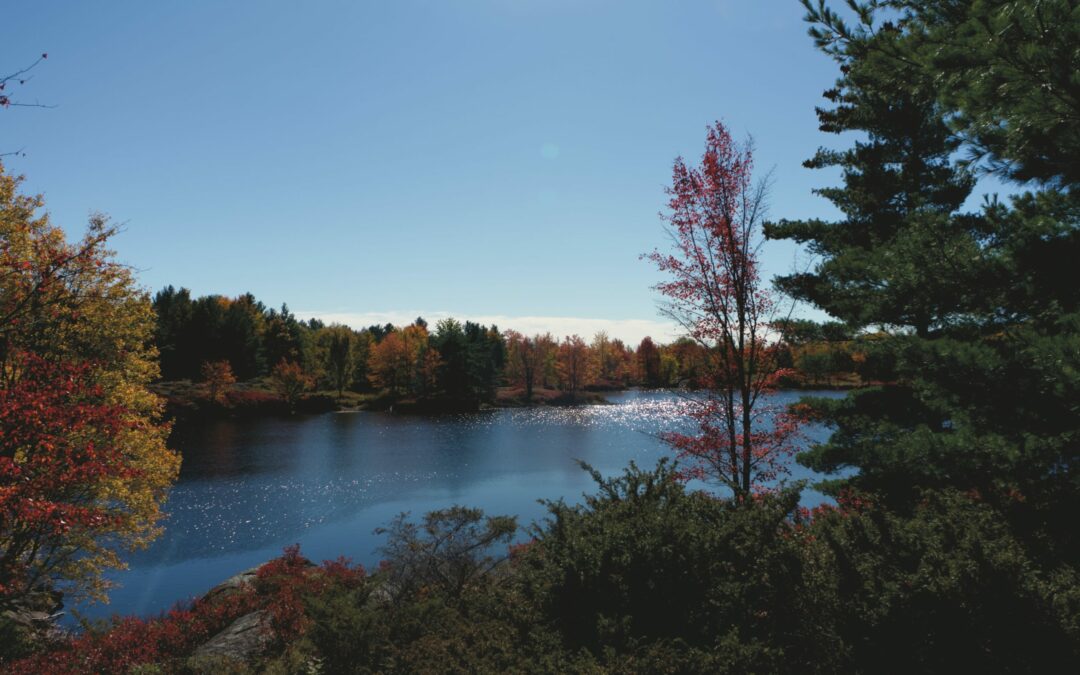 Hiking in Frontenac Provincial Park