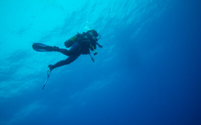 What Is the New Eco-Diving Wellness Trend?