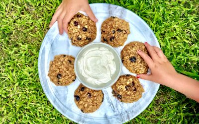 Scandi Blueberry Oat Breakfast Cookies with Vanilla Yogurt Whip