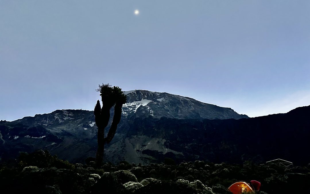 Couch to Summit: Training to Reach the Roof of Africa